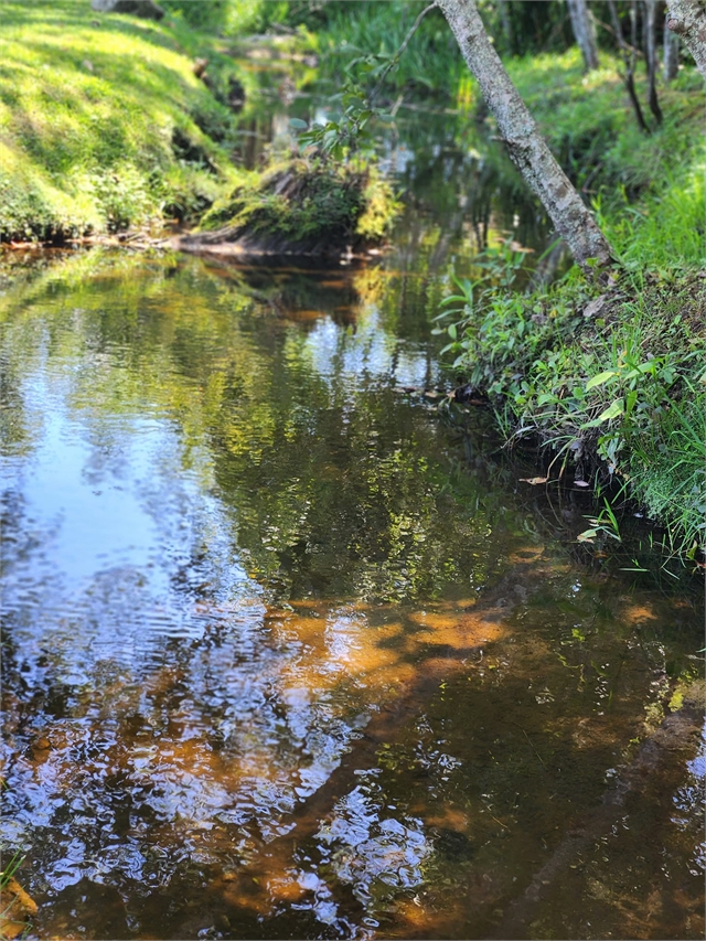 2024 Aug 25 Chasing Waterfalls Part 2 (7)