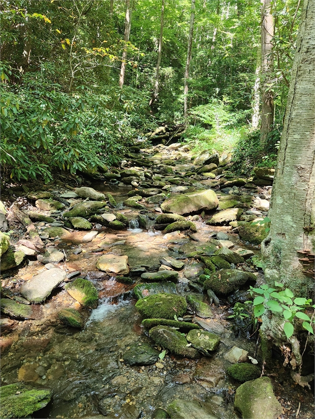 2024 Aug 25 Chasing Waterfalls Part 2 (32)