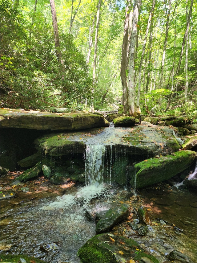 2024 Aug 25 Chasing Waterfalls Part 2 (49)