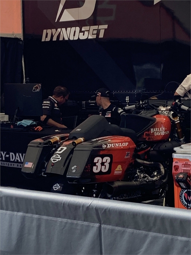 2025 May 1-5 Weekend at the Races